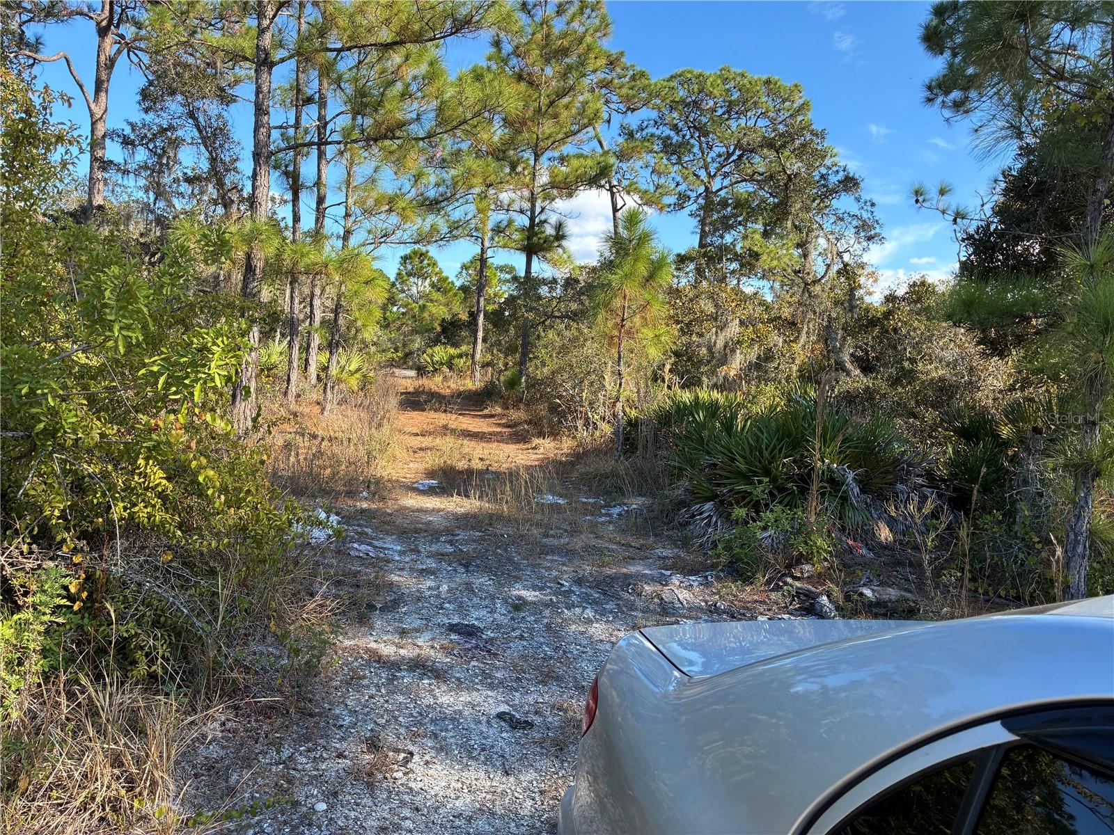 Image 2 of 4 For 321 Showboat Avenue