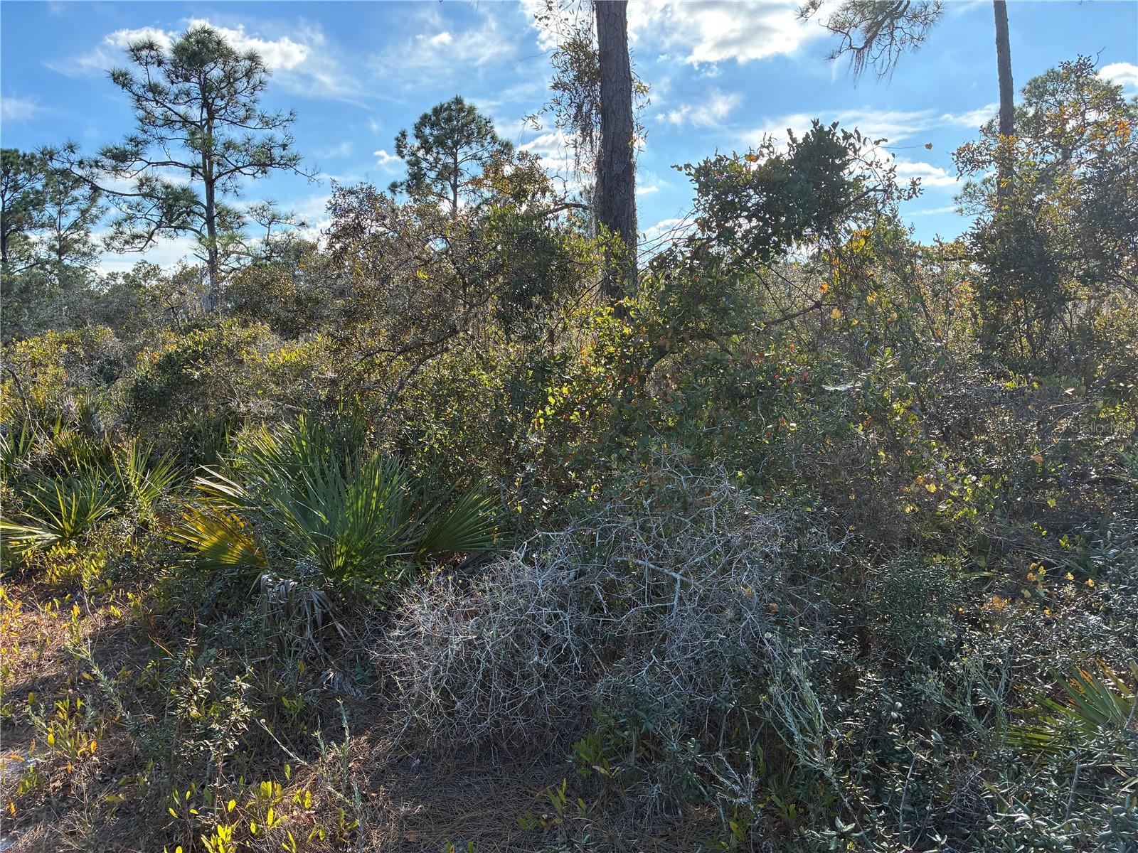 Image 3 of 4 For 321 Showboat Avenue