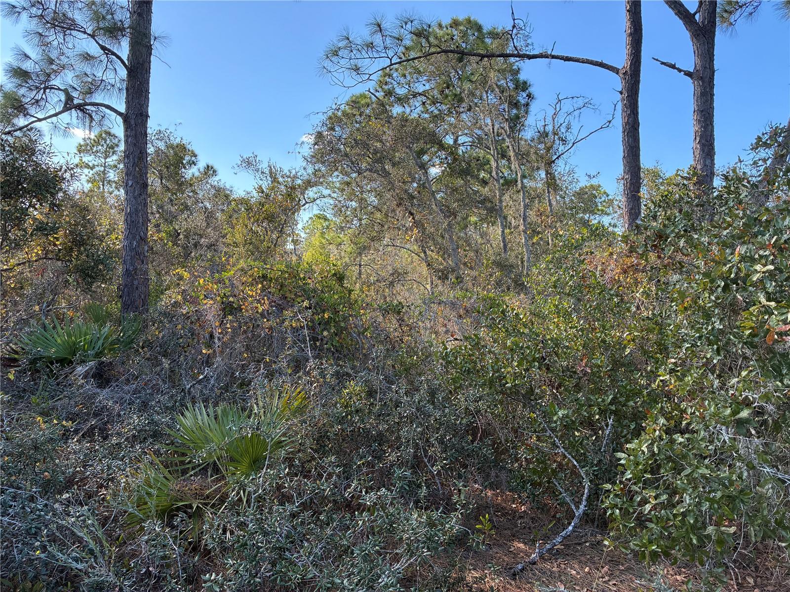 Image 4 of 4 For 321 Showboat Avenue