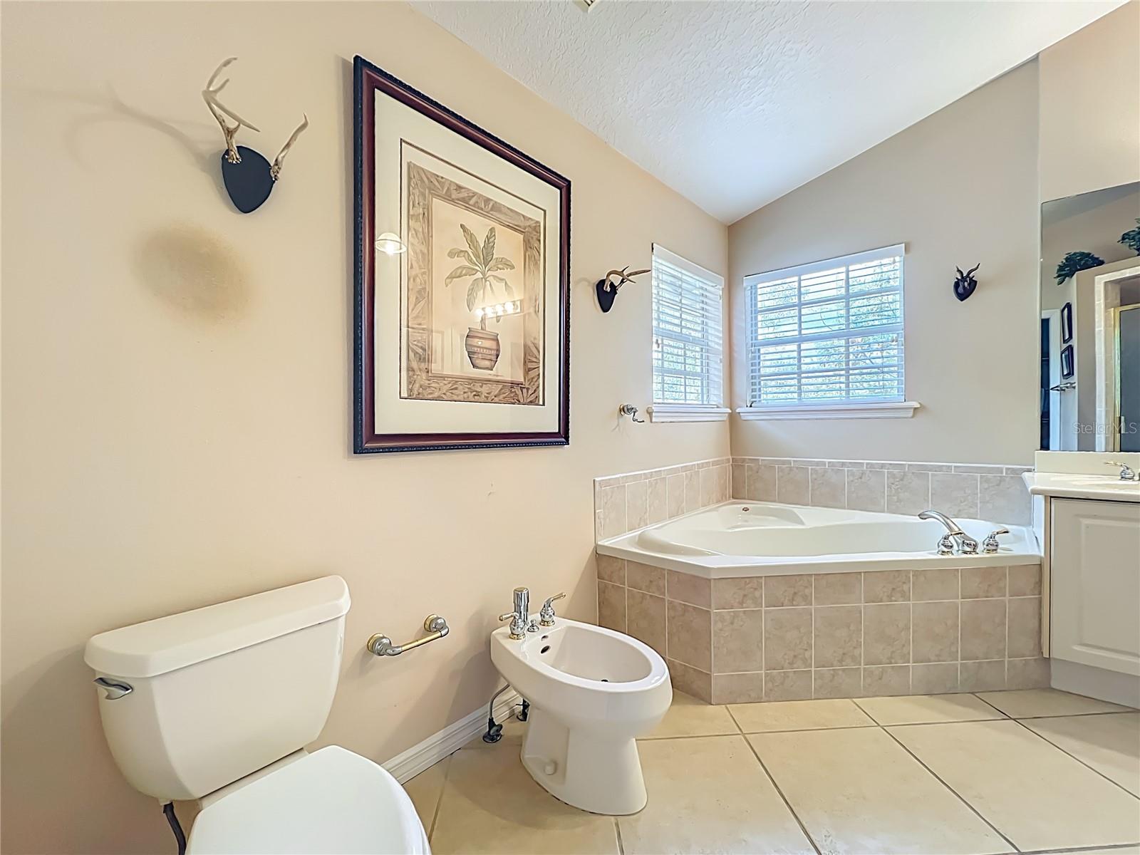 Image 21 of 44 For 1934 Lost Spring Court