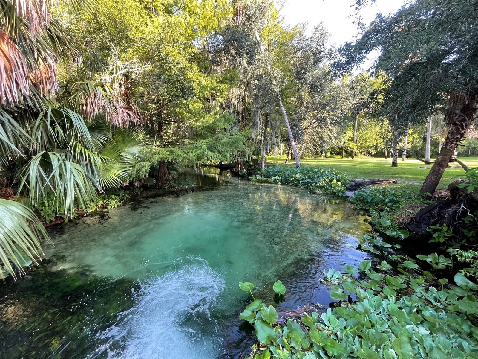 Image 34 of 44 For 1934 Lost Spring Court