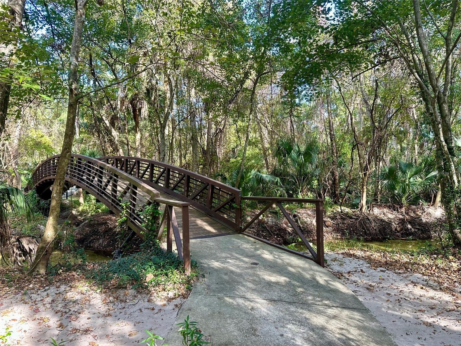 Image 35 of 44 For 1934 Lost Spring Court