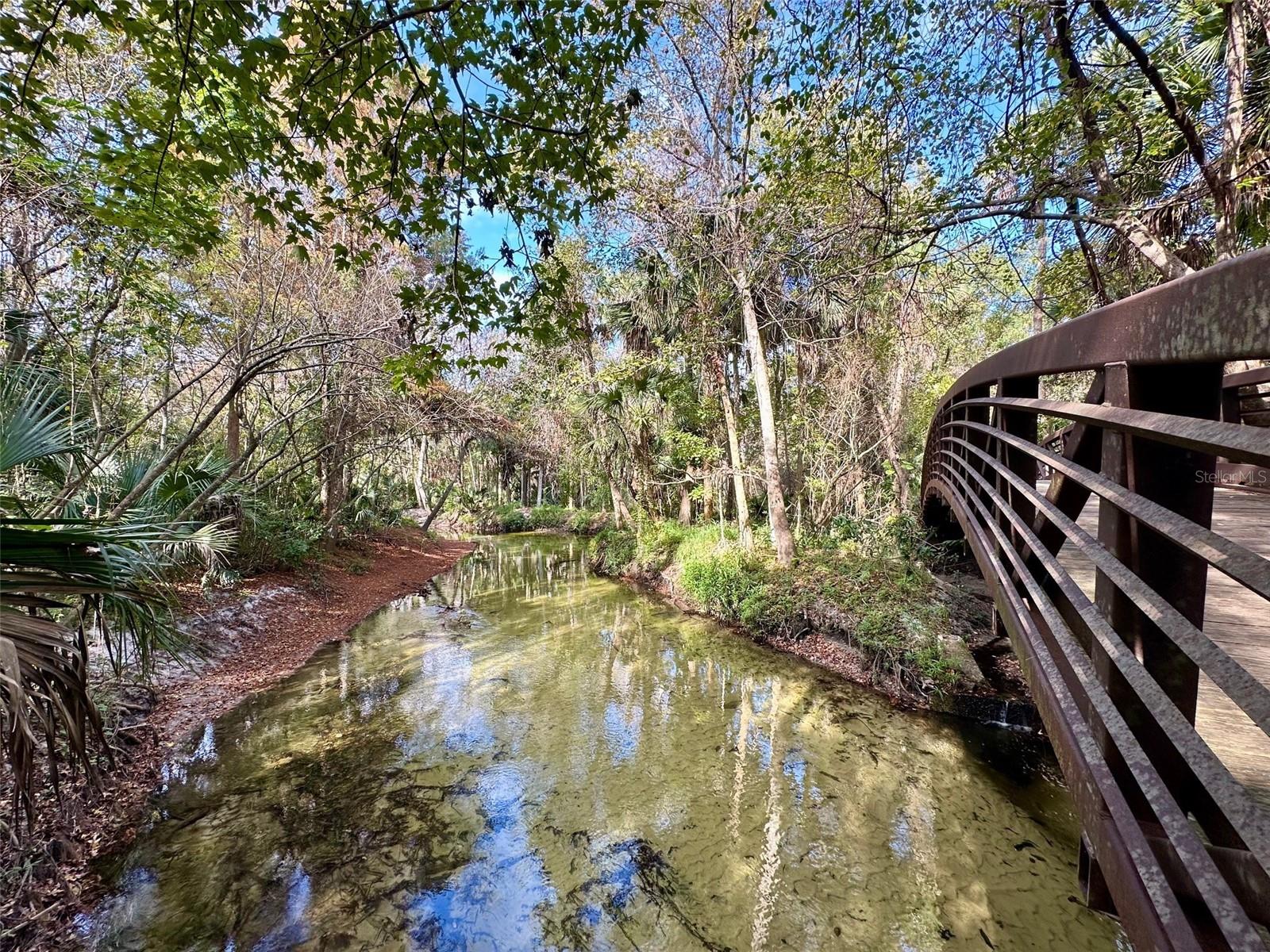 Image 36 of 44 For 1934 Lost Spring Court