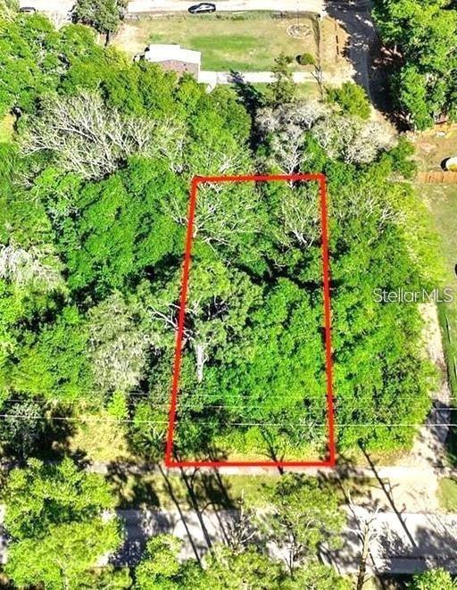 Listing Details for 44126 Spring Creek Road, PAISLEY, FL 32767