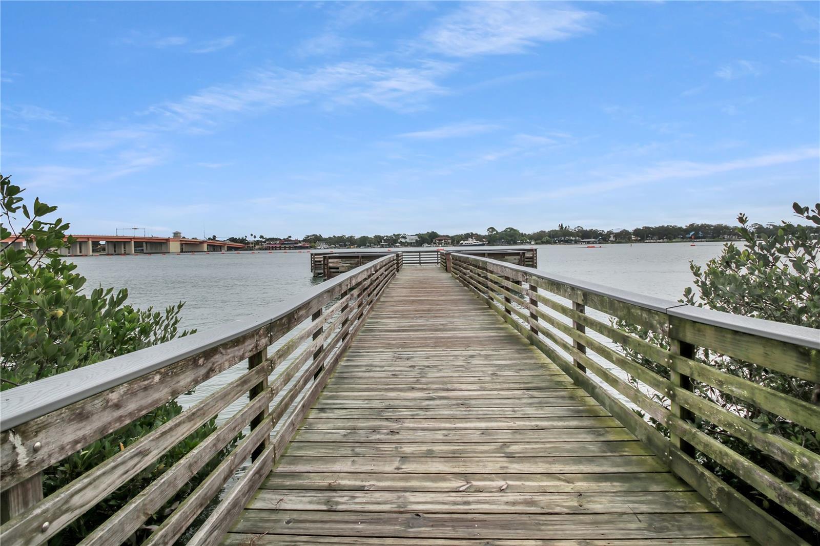 Image 32 of 33 For 445 Desoto Drive