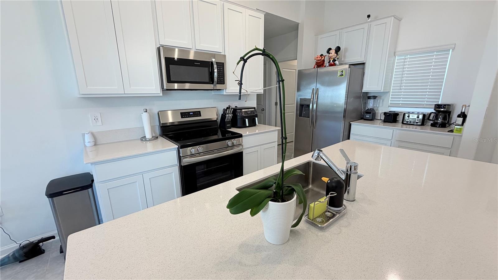 Image 11 of 30 For 4207 Mountain Laurel Lane