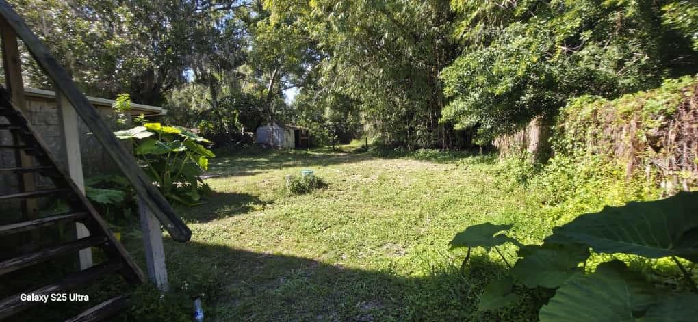 Image 33 of 35 For 351 Pine Avenue