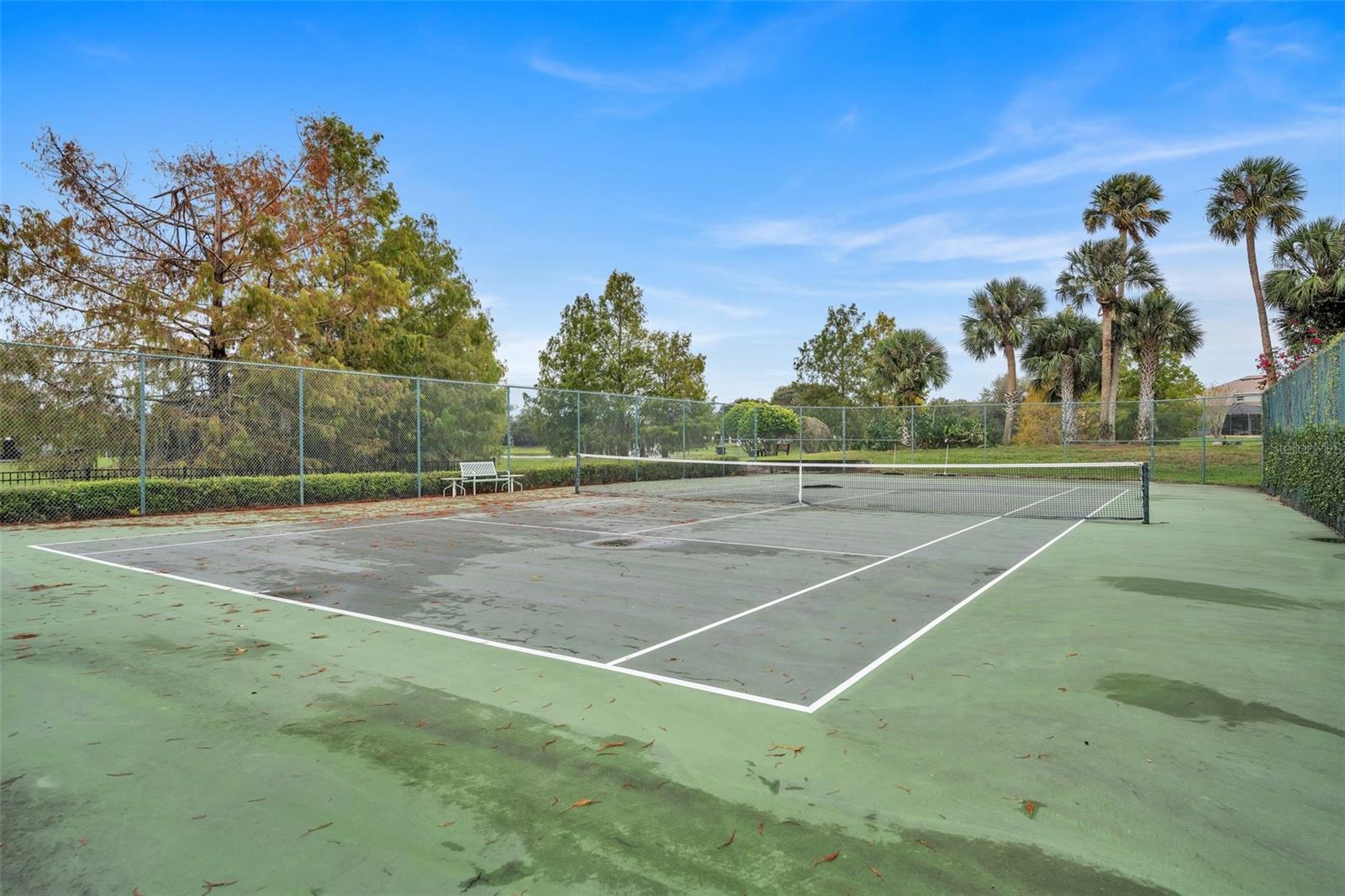 Image 36 of 39 For 286 Tavestock Loop