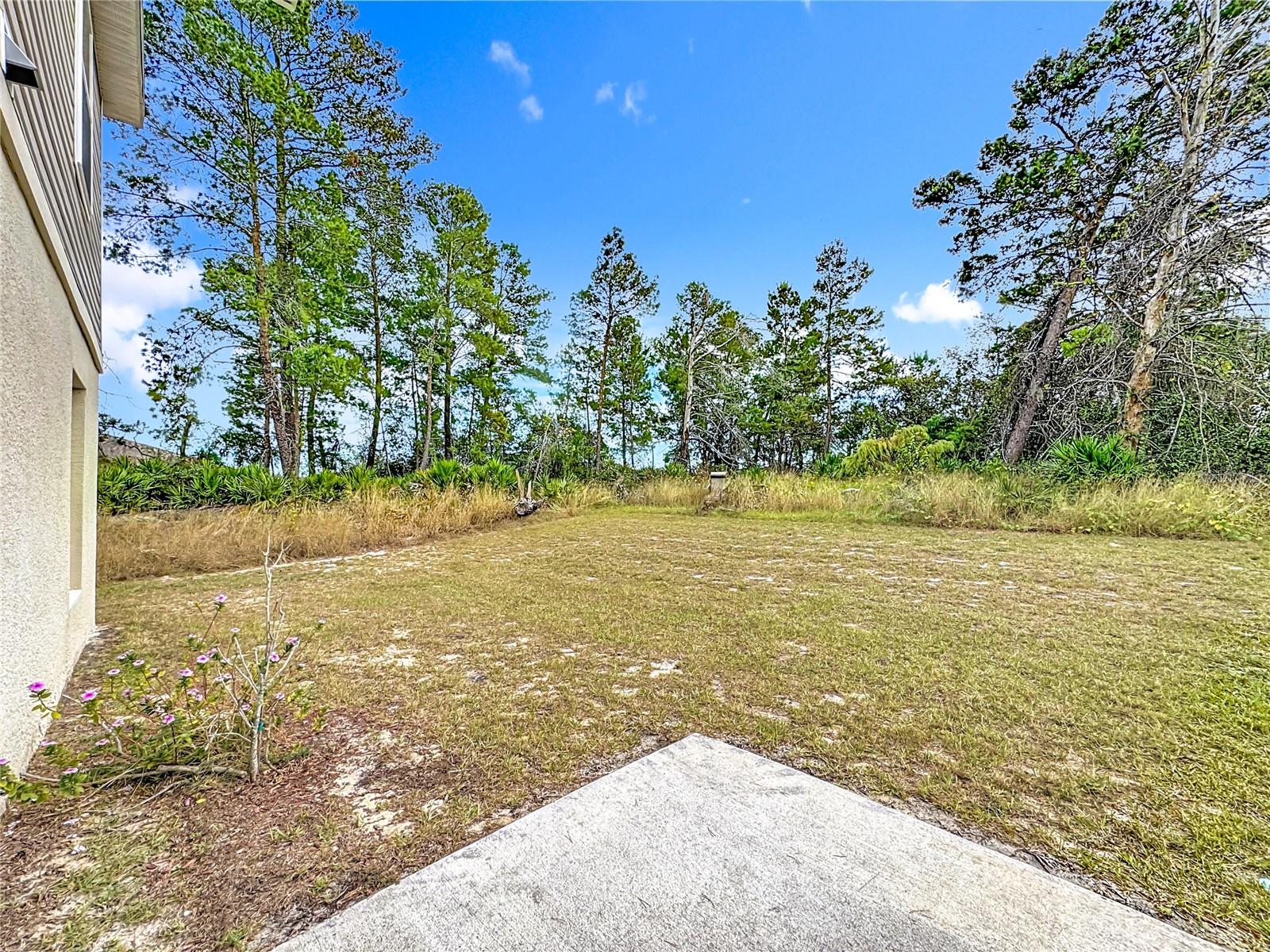 Image 41 of 55 For 166 Maple Drive