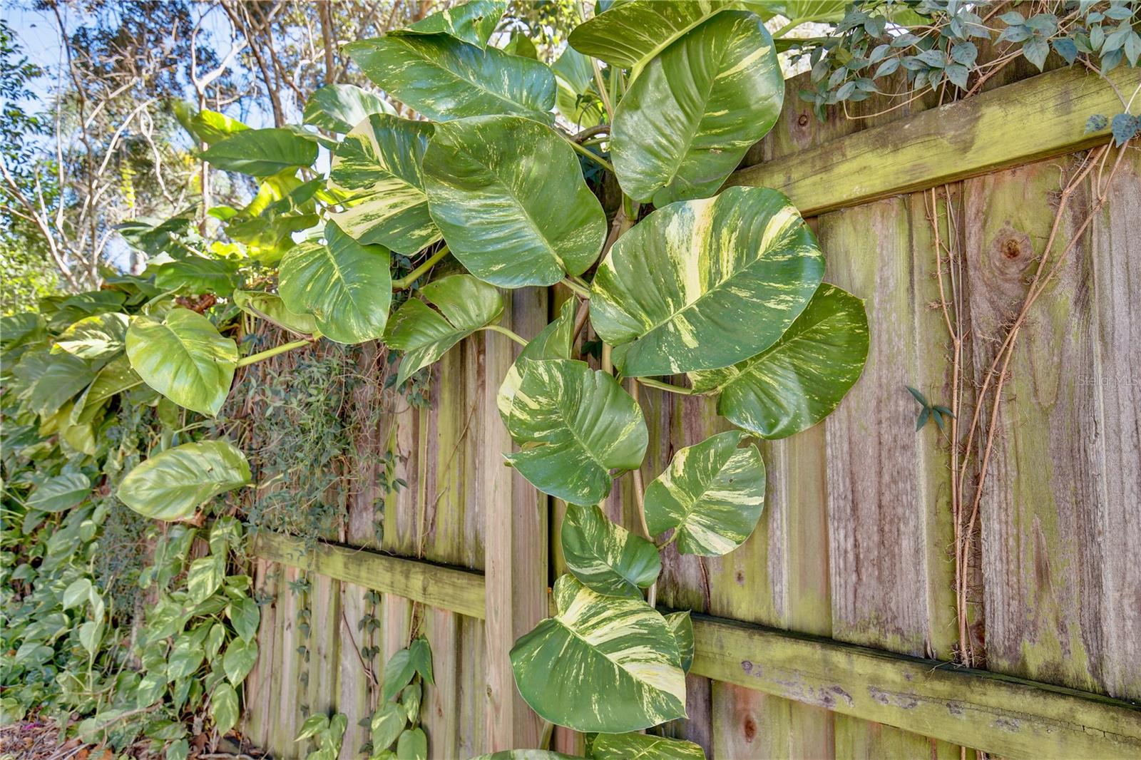 Image 31 of 52 For 427 Sunglow Court