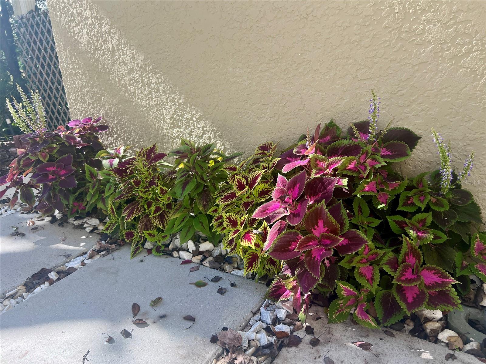 Image 41 of 41 For 1242 Fairway Drive