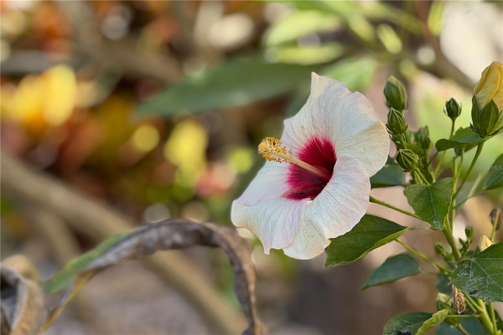 Image 24 of 37 For 358 Monika Place