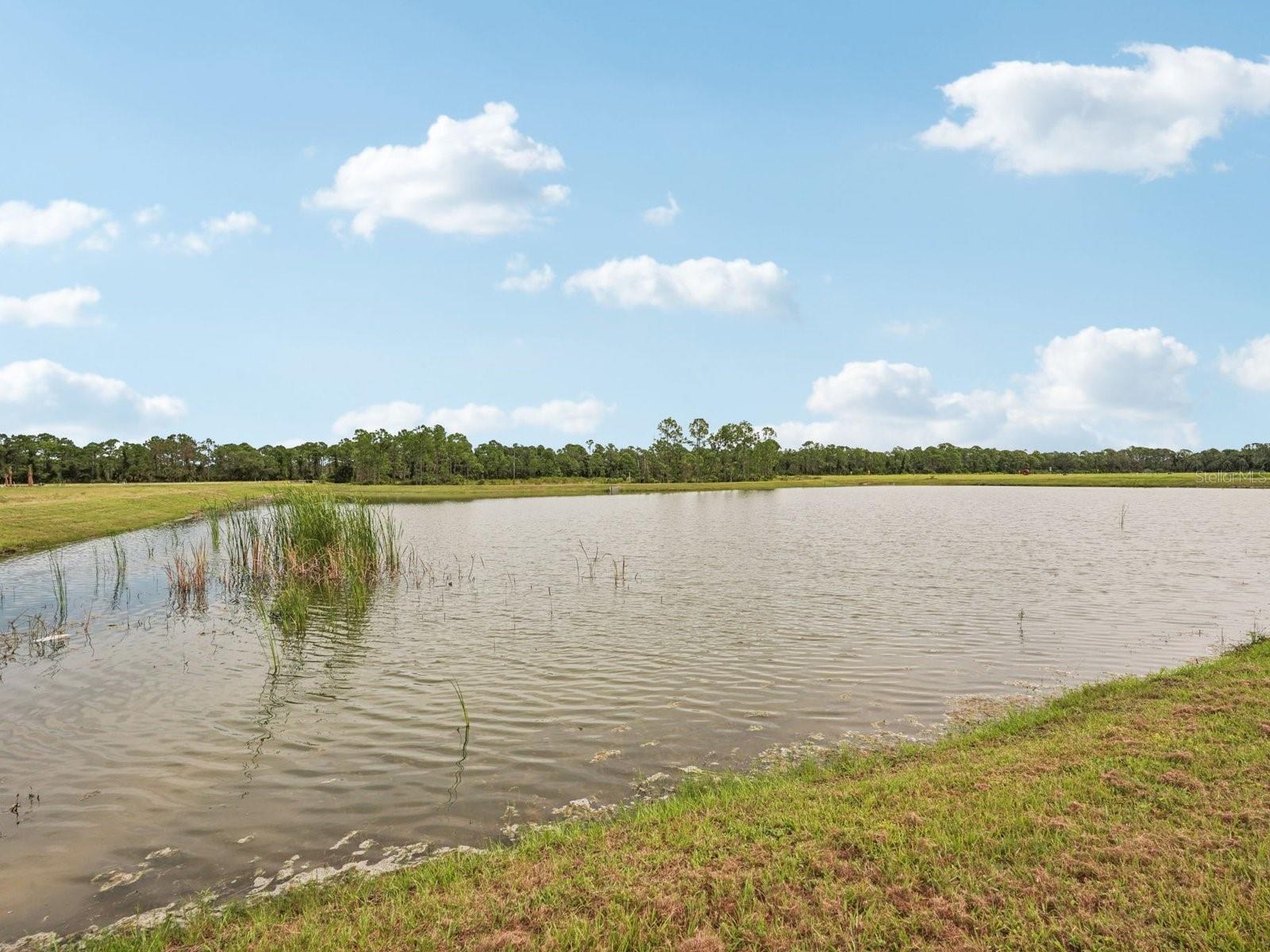 Image 31 of 31 For 236 Lazy Shore Drive