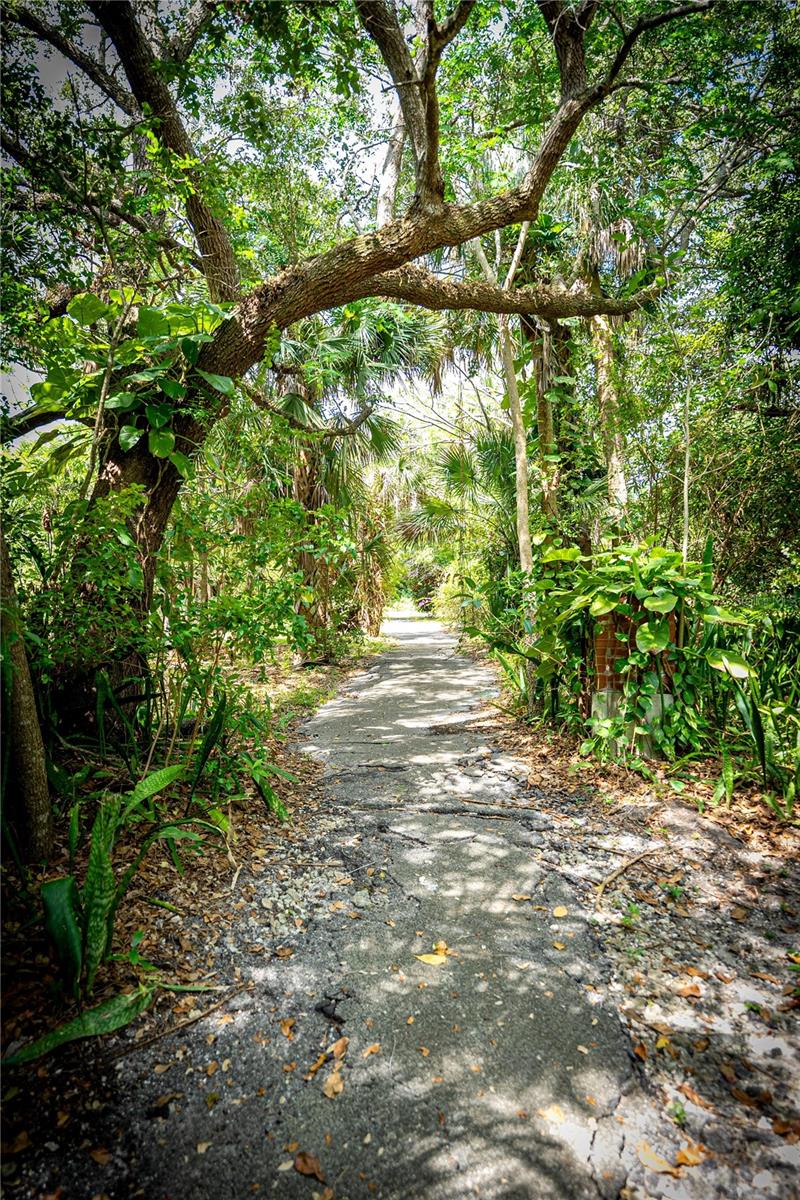 Image 13 of 43 For 13377 Indian River Dr