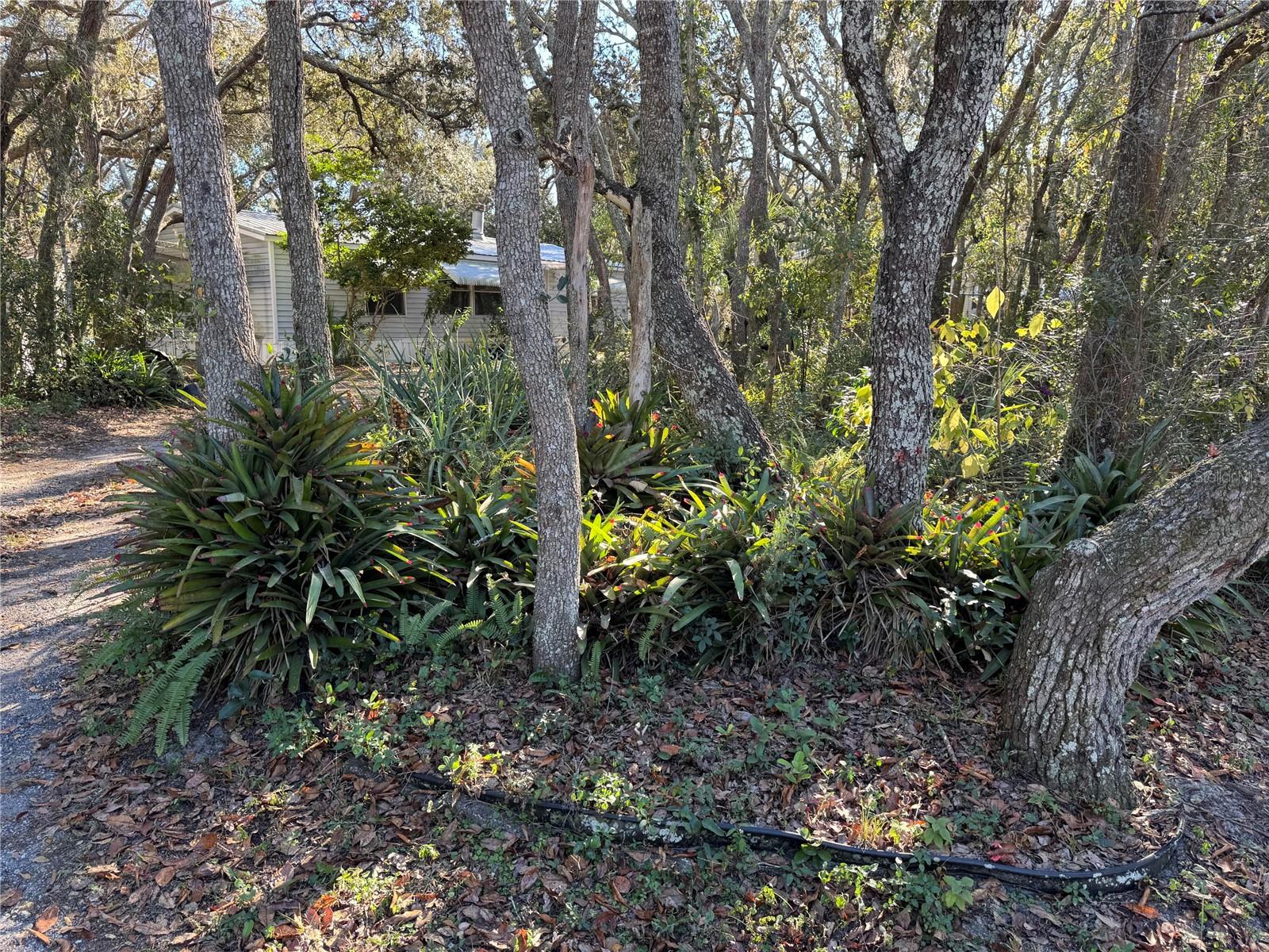 Image 4 of 21 For 13218 Vivian Lane