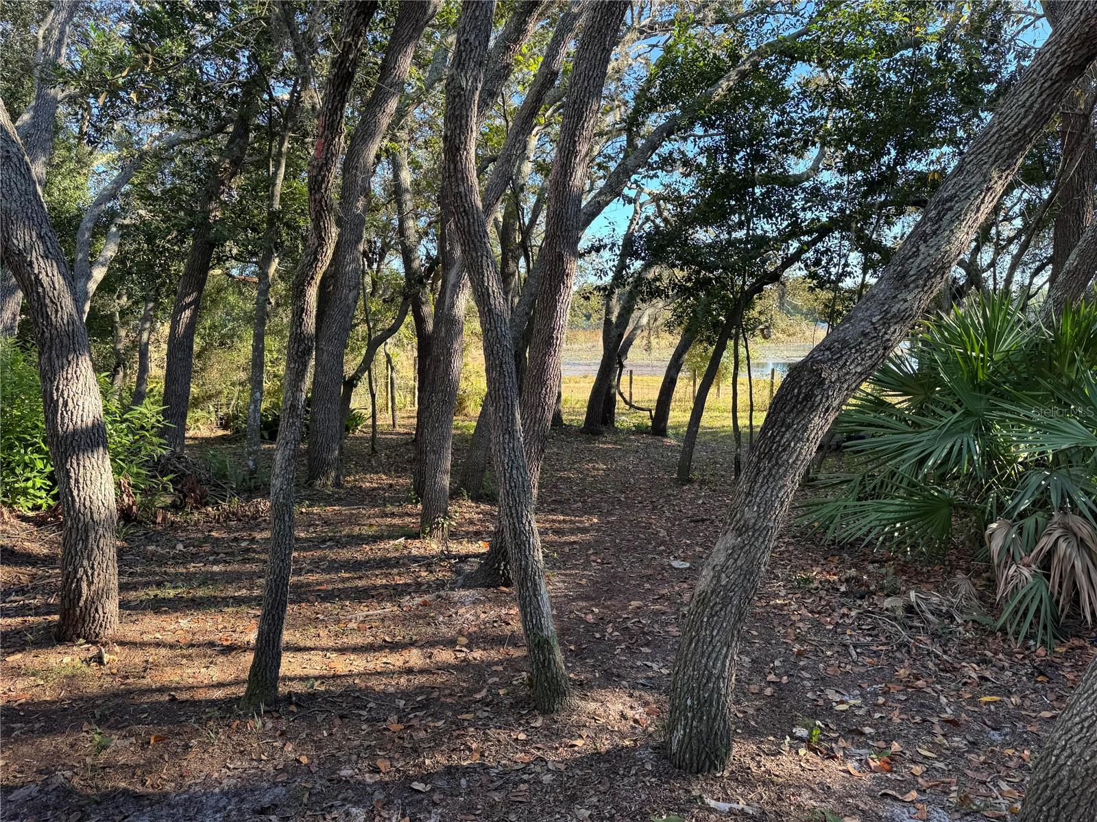 Image 6 of 21 For 13218 Vivian Lane