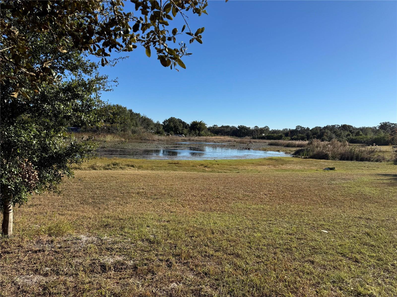 Image 8 of 21 For 13218 Vivian Lane