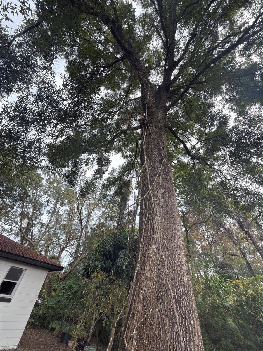 Image 19 of 28 For 3750 Roseboro Street