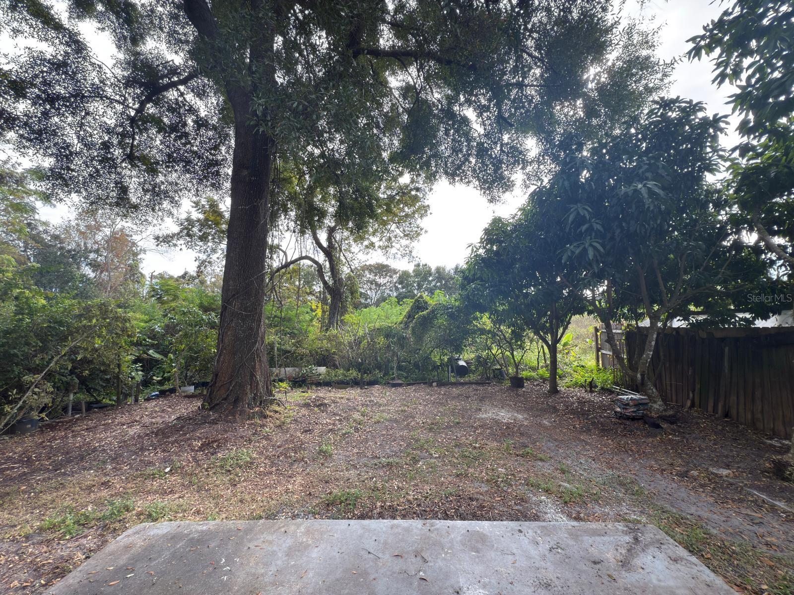 Image 21 of 28 For 3750 Roseboro Street