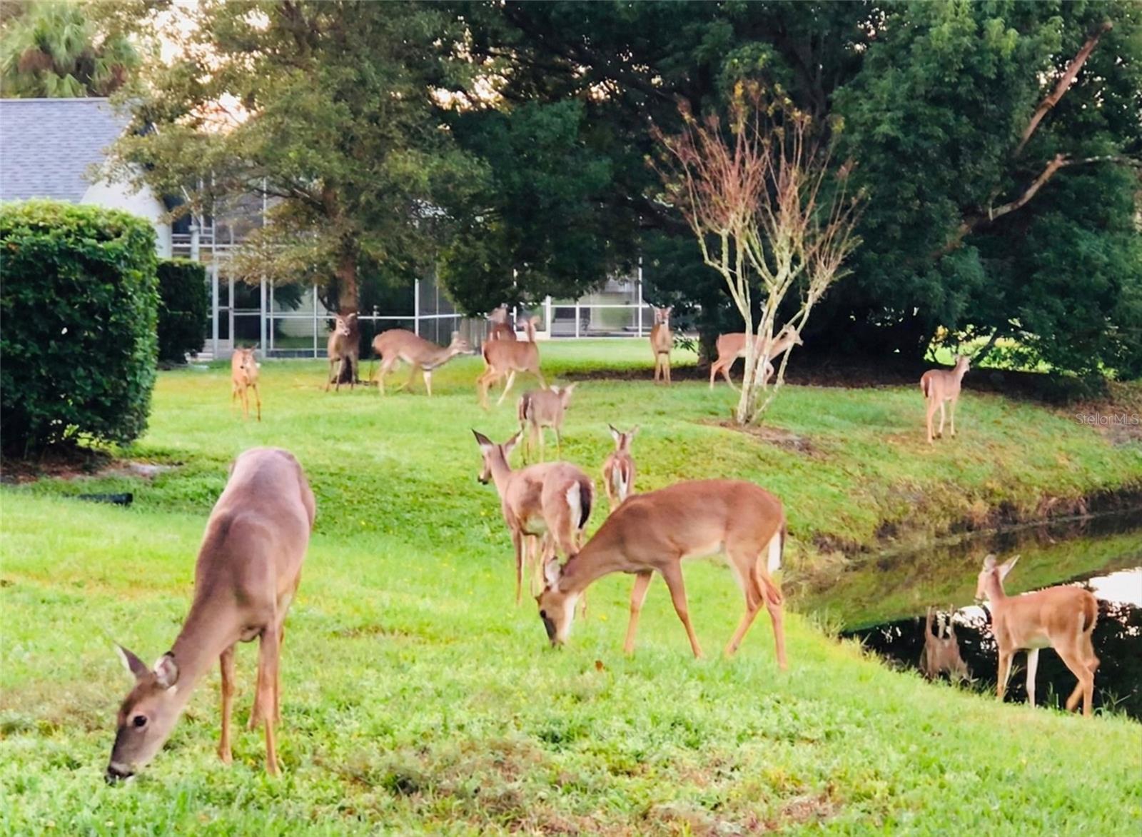 Image 25 of 45 For 300 Sweetwater Bay Court