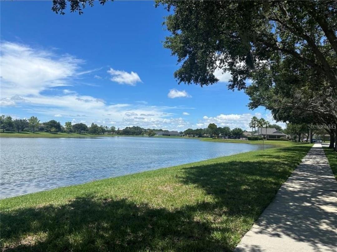 Image 35 of 40 For 13209 Silver Strand Falls Drive