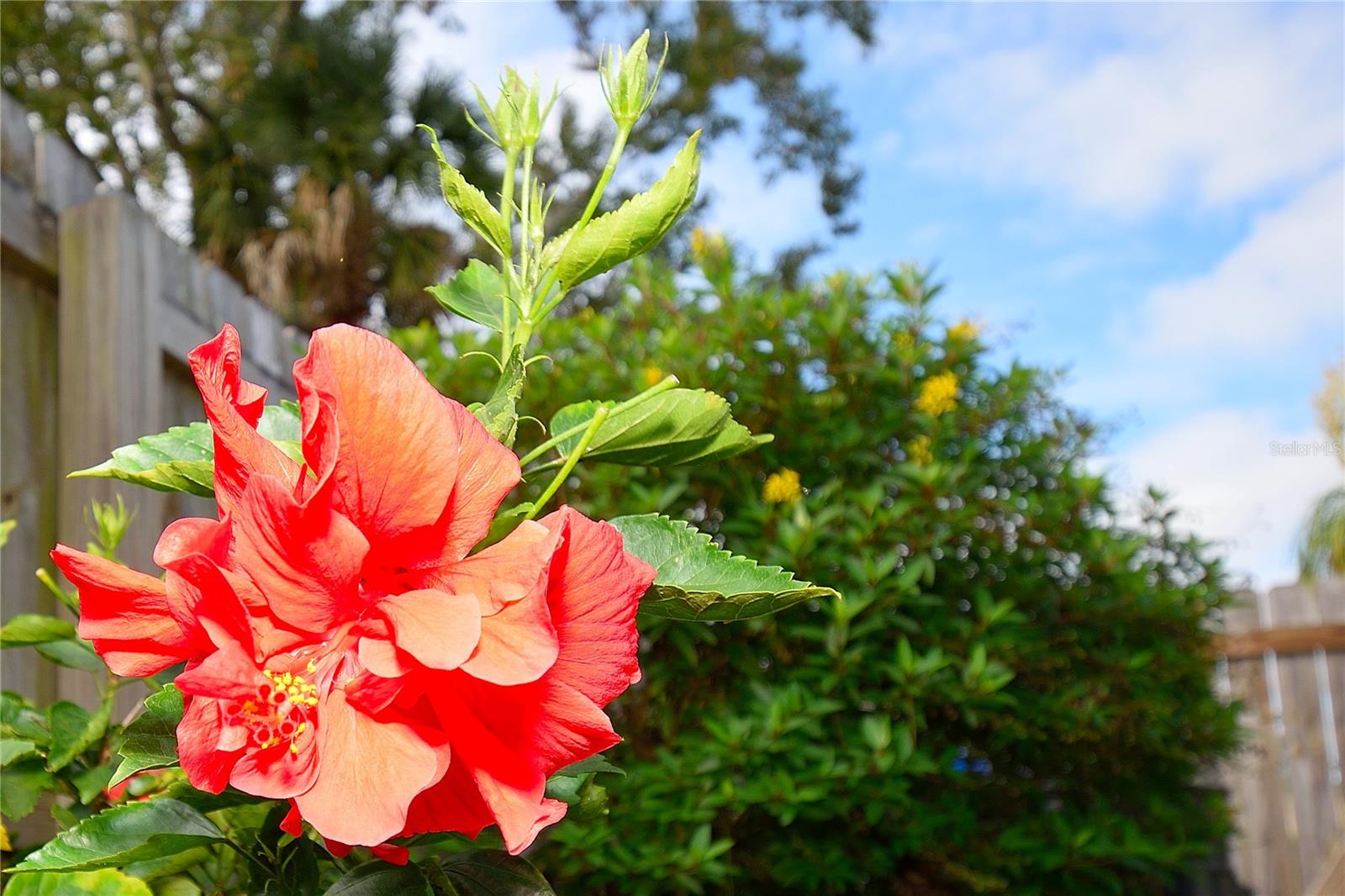 Image 20 of 23 For 2445 Christine Drive