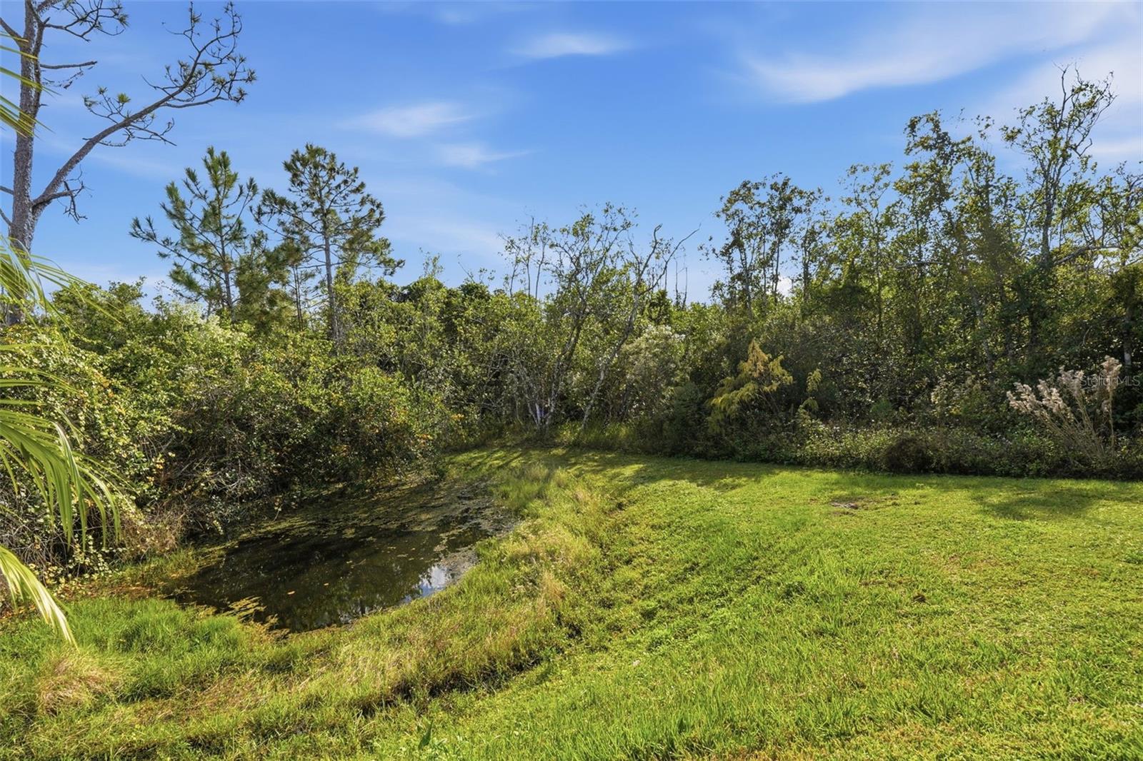 Image 43 of 53 For 17788 Passionflower Circle