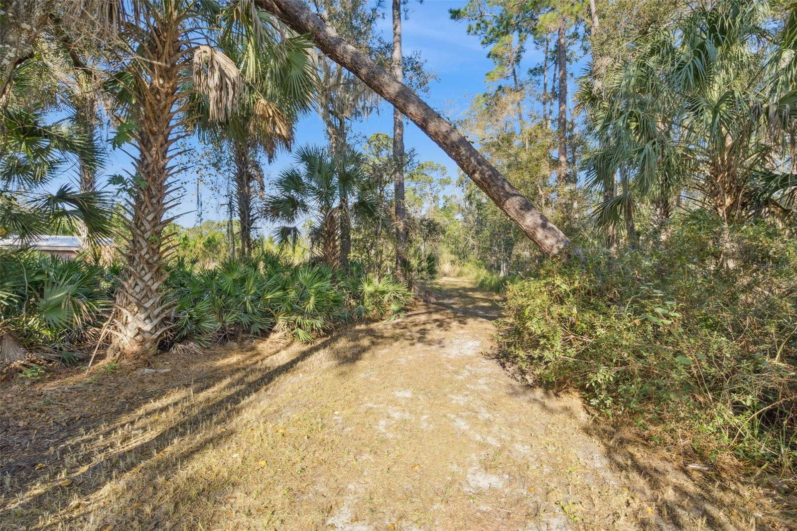 Image 23 of 48 For Brigham Loop