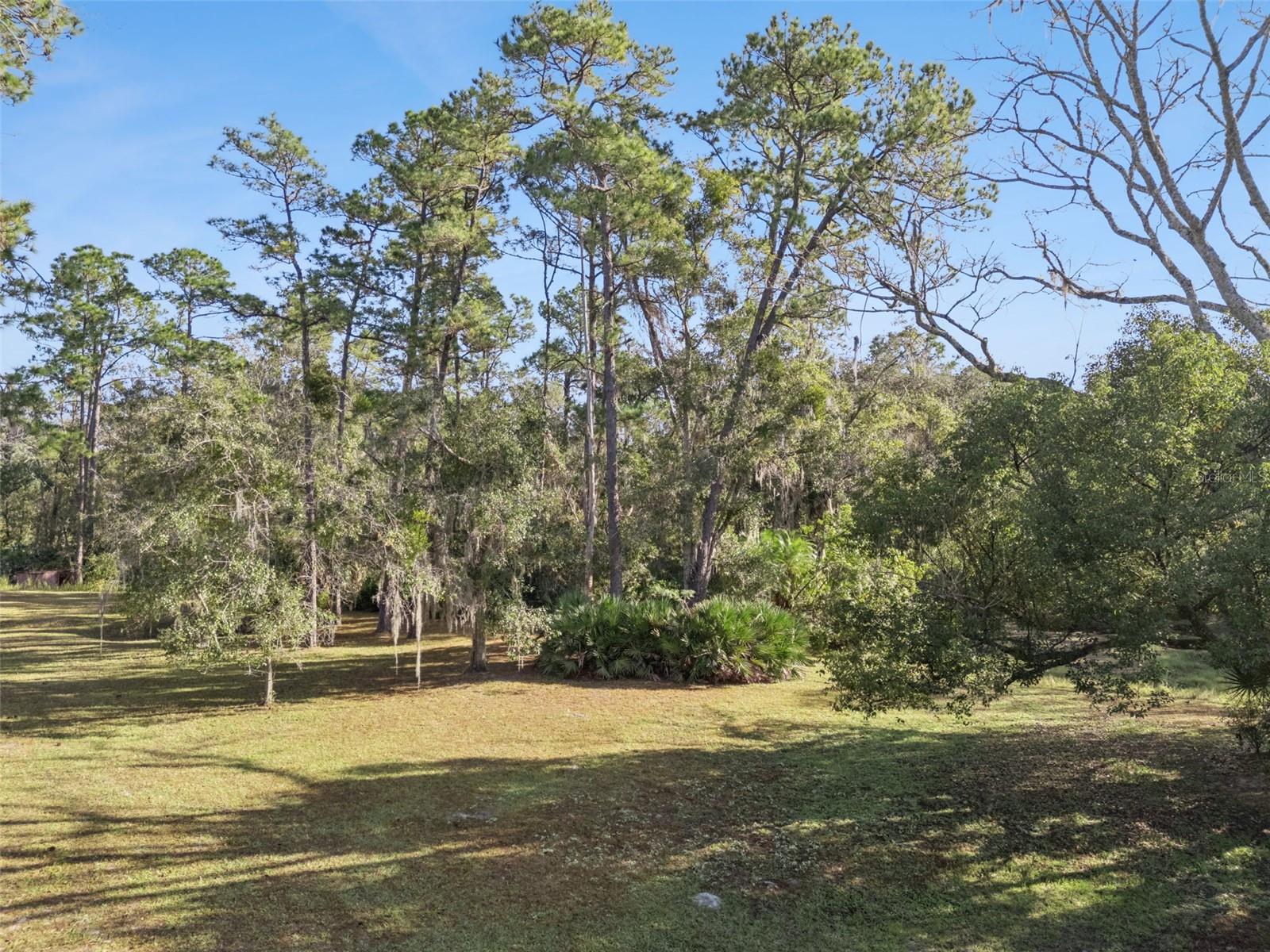 Image 26 of 48 For Brigham Loop