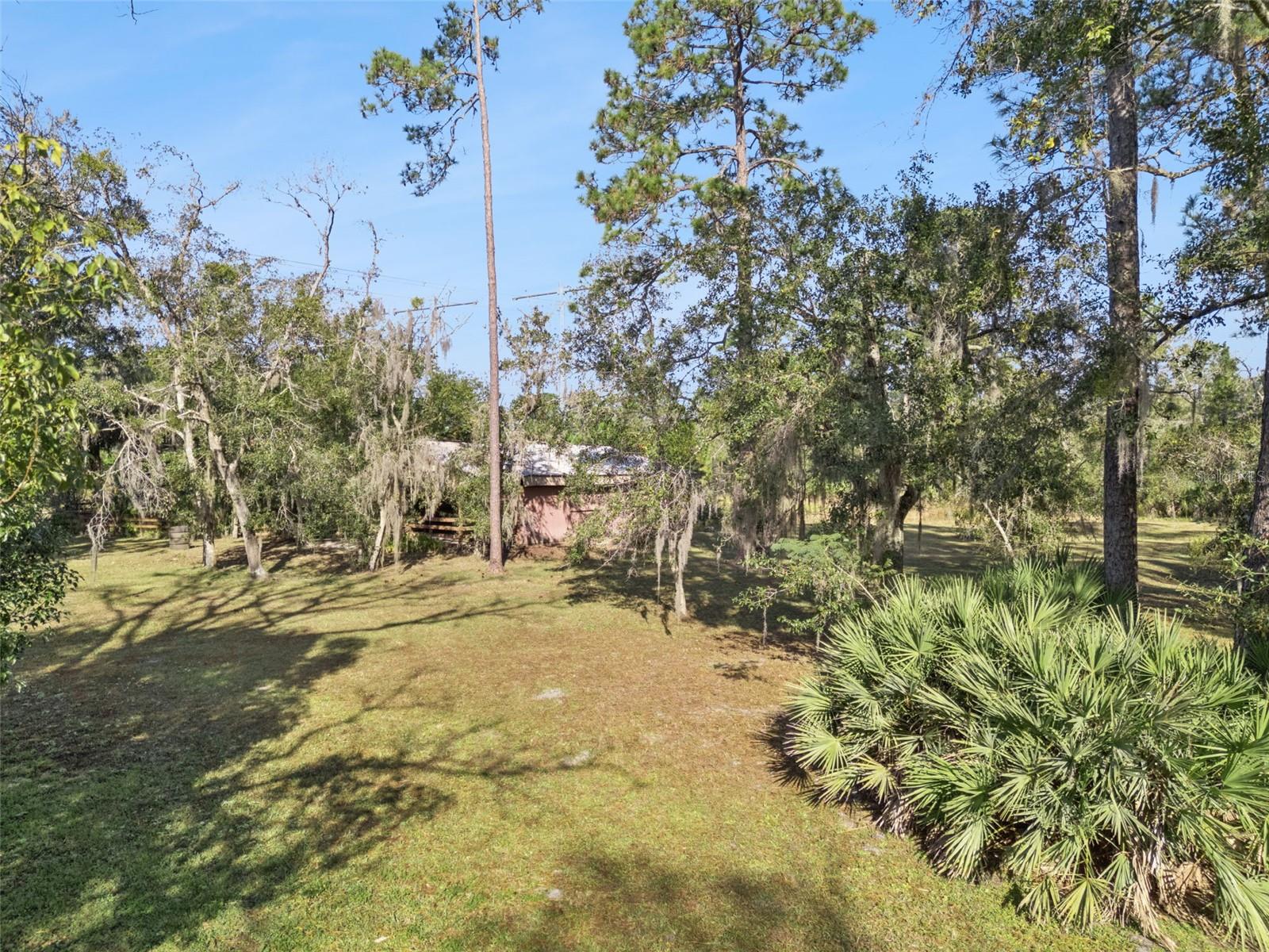 Image 28 of 48 For Brigham Loop