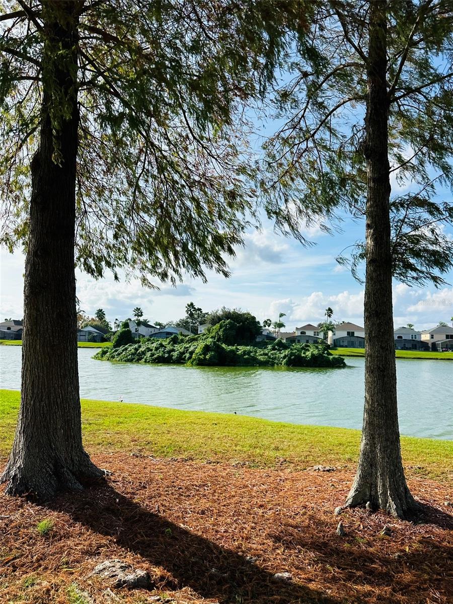 Image 46 of 56 For 1049 Lake Berkley Drive