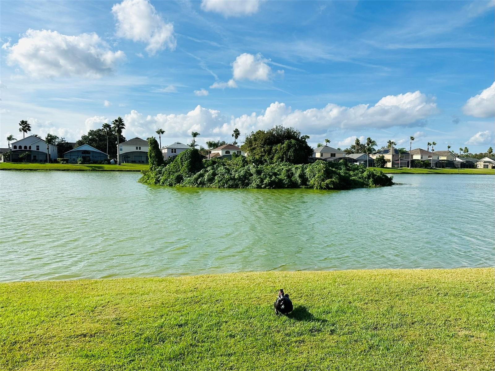 Image 47 of 56 For 1049 Lake Berkley Drive