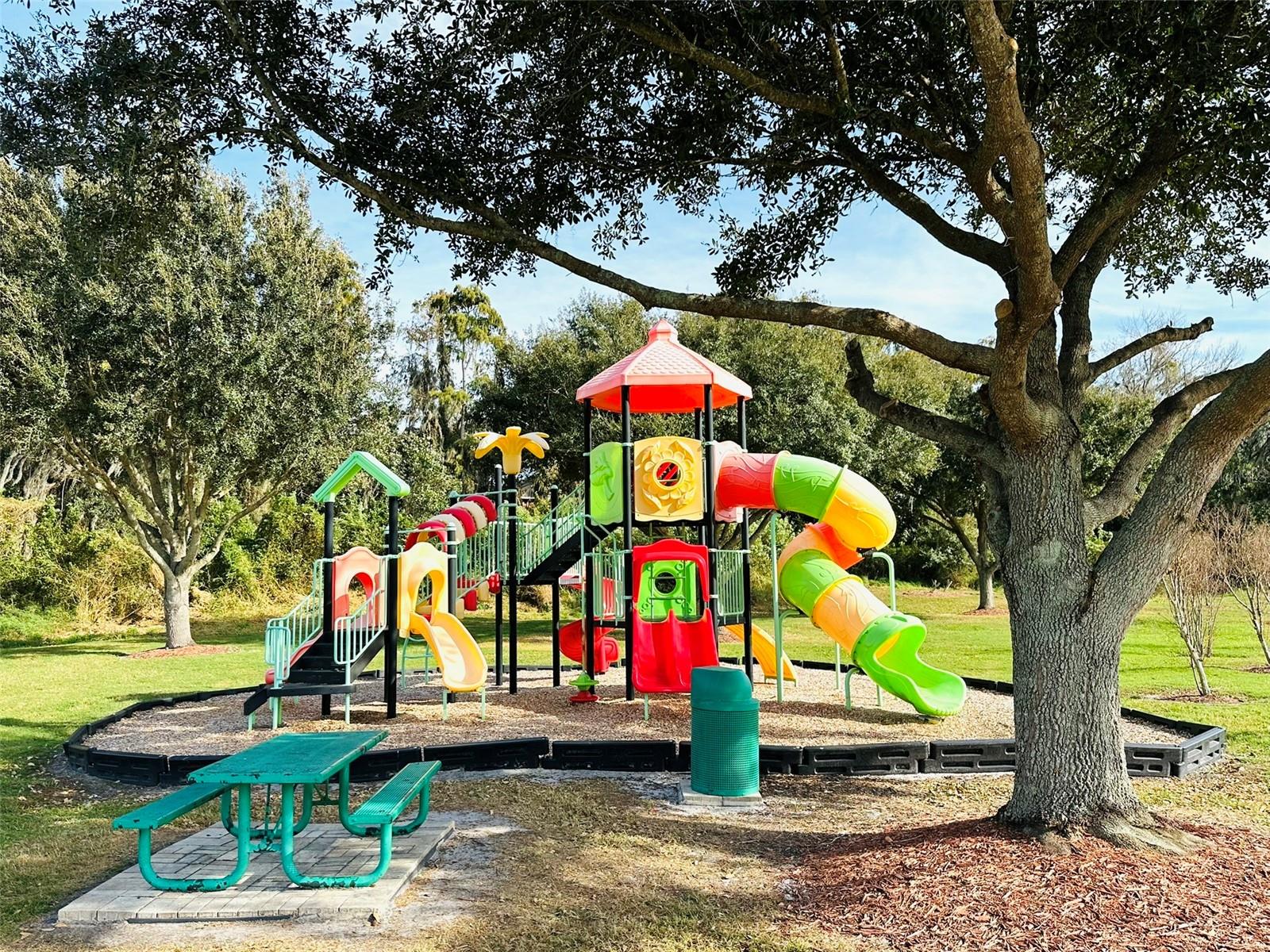 Image 49 of 56 For 1049 Lake Berkley Drive