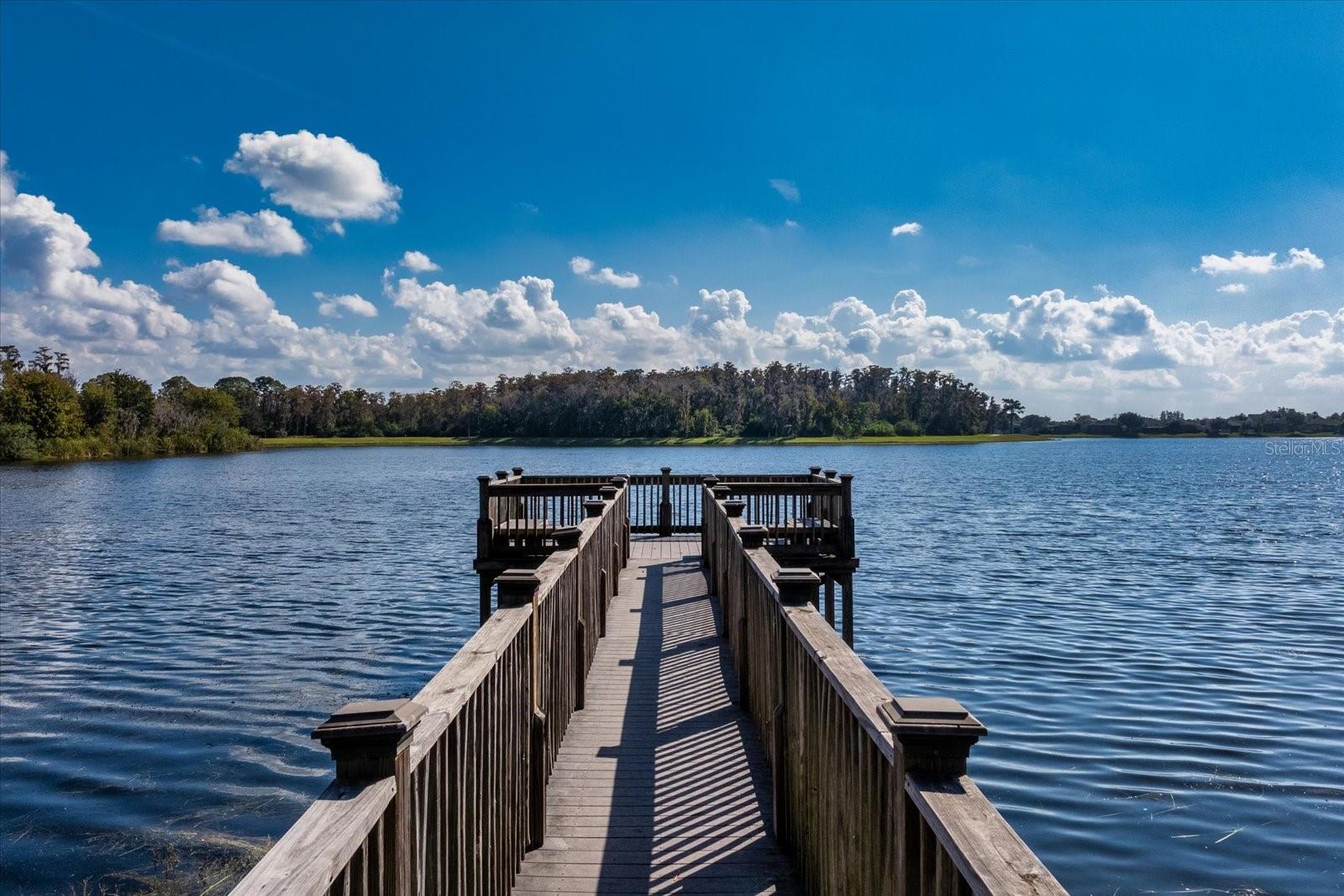 Image 27 of 30 For 7252 Windham Harbour Avenue