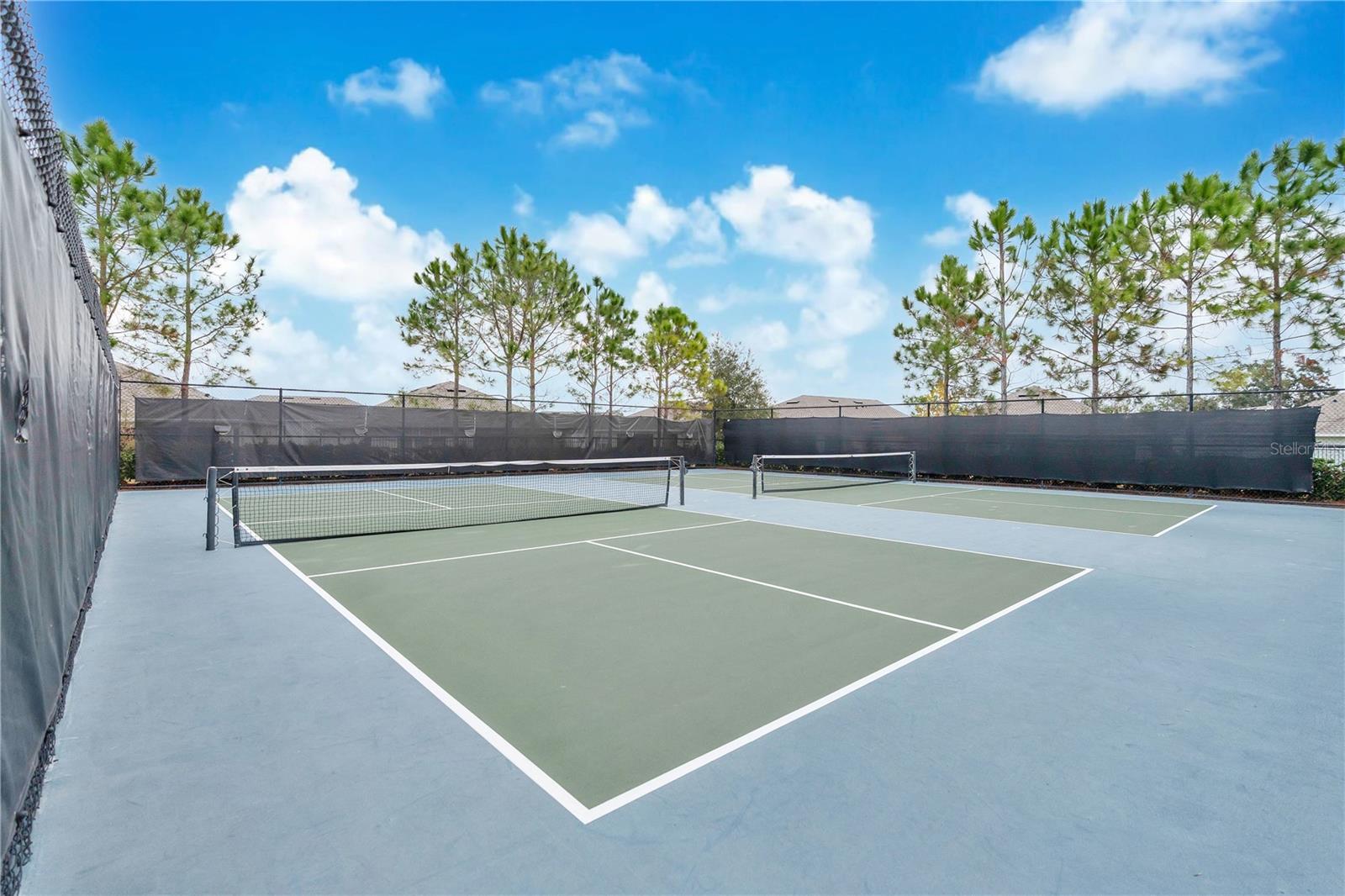 Image 34 of 46 For 2051 Flora Pass Place