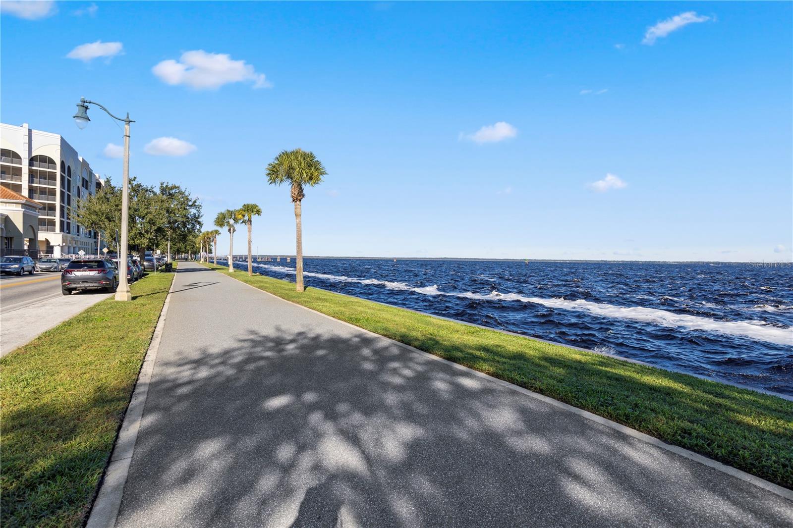 Image 48 of 49 For 900 Locust Avenue