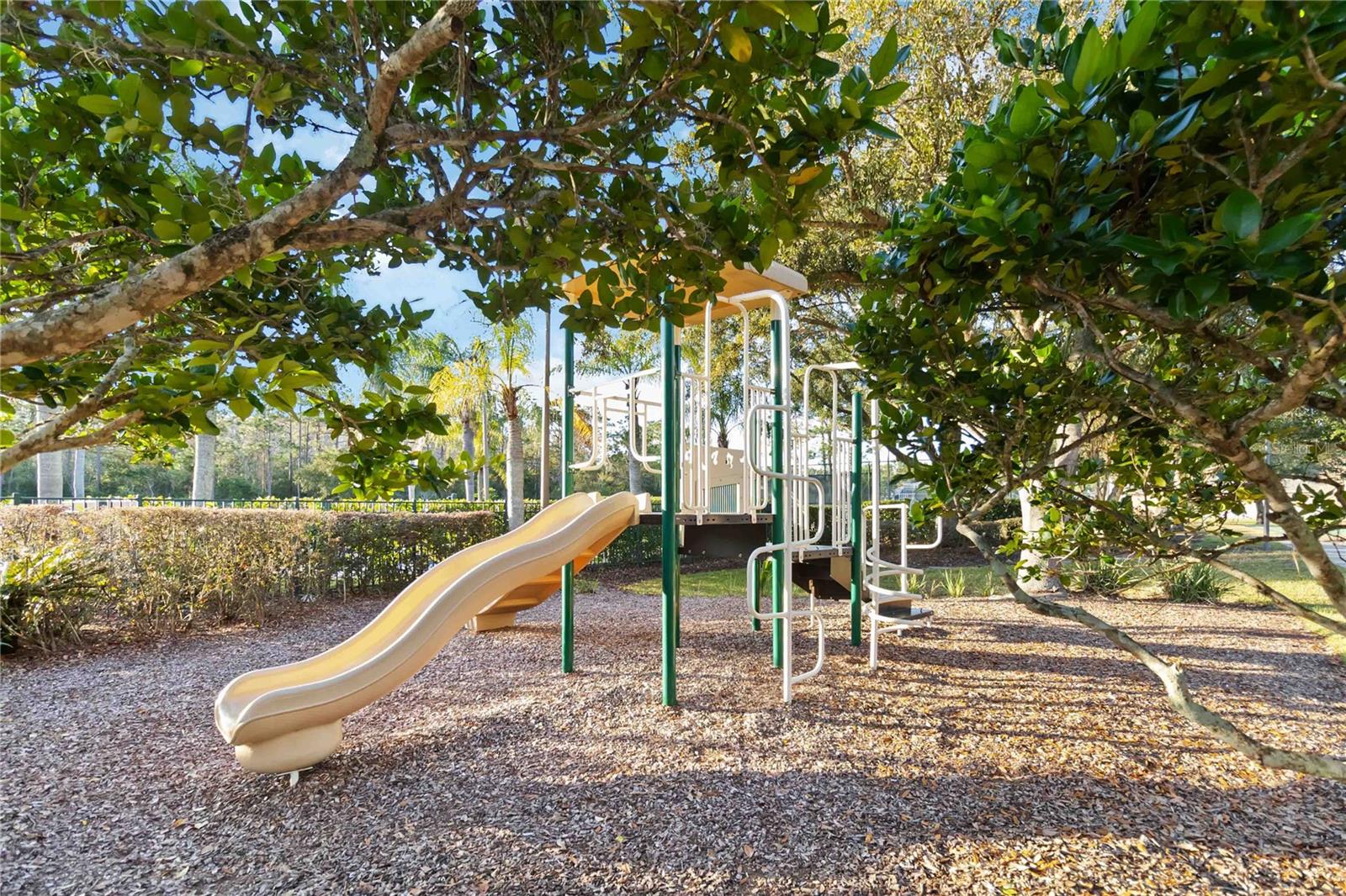 Image 39 of 43 For 9138 Shadowbrook Trail