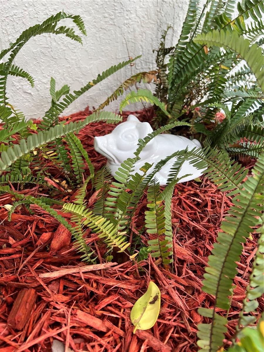 Image 6 of 42 For 1851 19th Street