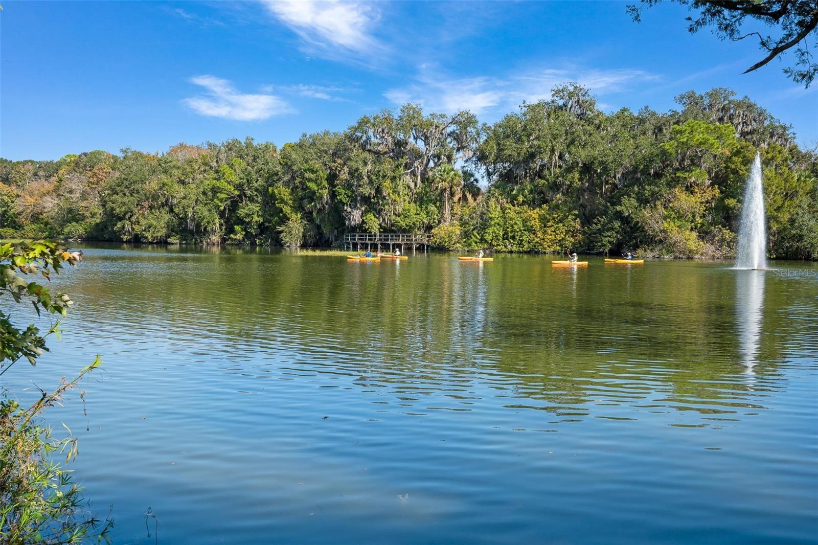 Image 42 of 50 For 79 Broadmoor Circle