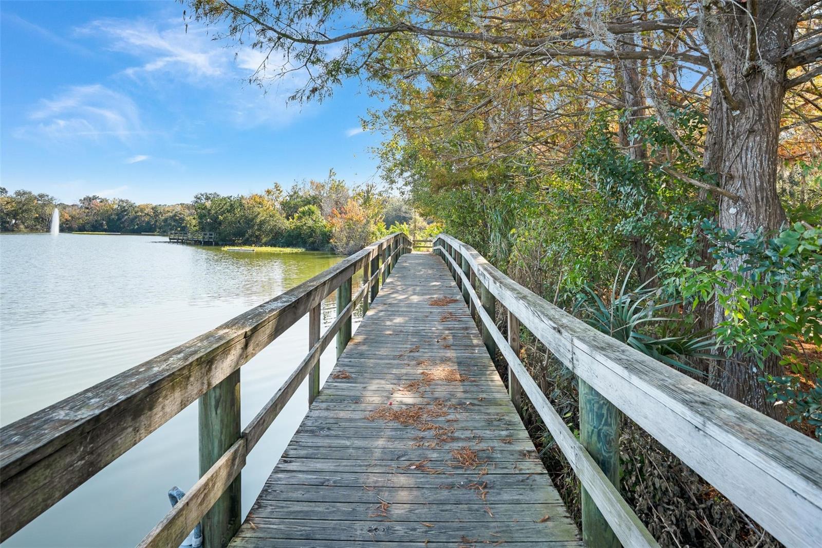 Image 45 of 50 For 79 Broadmoor Circle