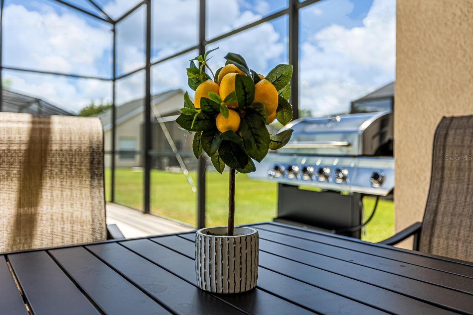 Image 7 of 34 For 1015 Tourmaline Drive