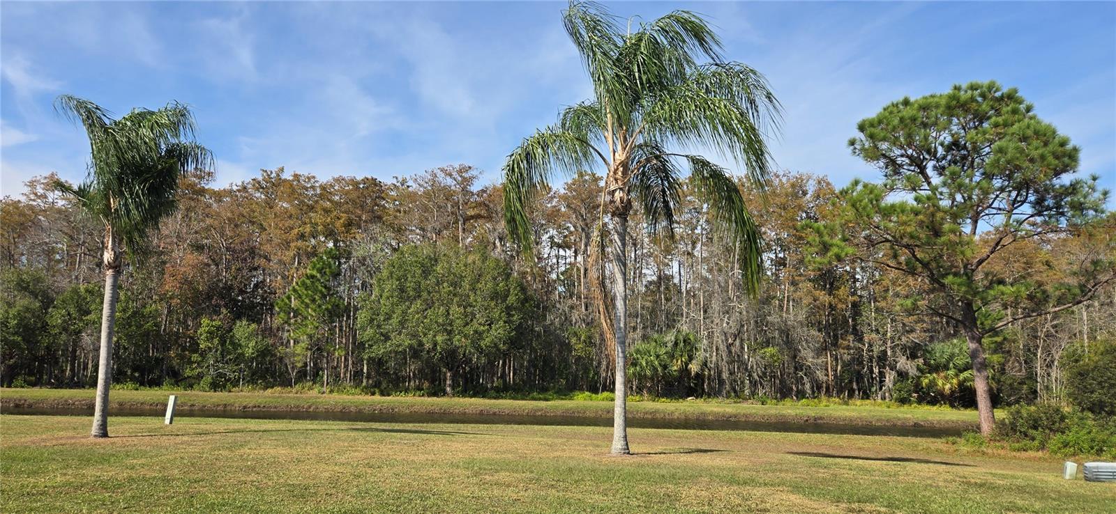 Image 3 of 21 For 11231 Scenic View Lane