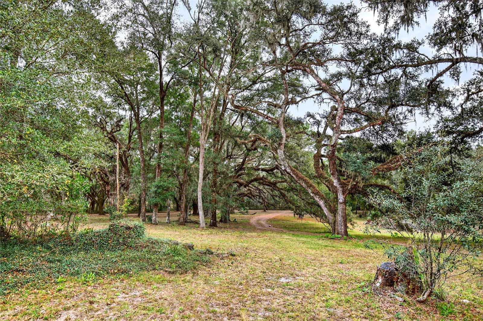 Image 49 of 52 For 11795 Highway 484