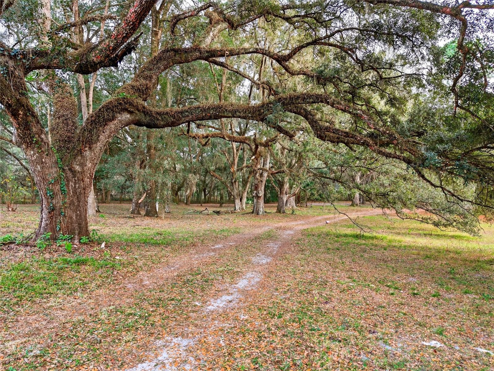 Image 50 of 52 For 11795 Highway 484