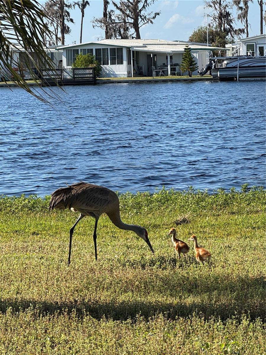 Image 26 of 26 For 1401 Highway 50  32