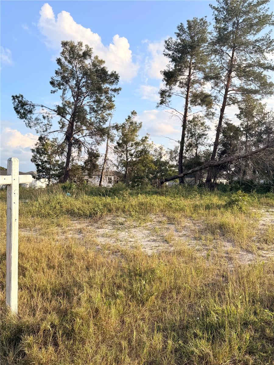 Image 2 of 3 For 143 Zinnia Lane W