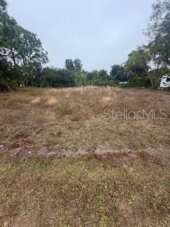 Image 2 of 7 For Hernando Road