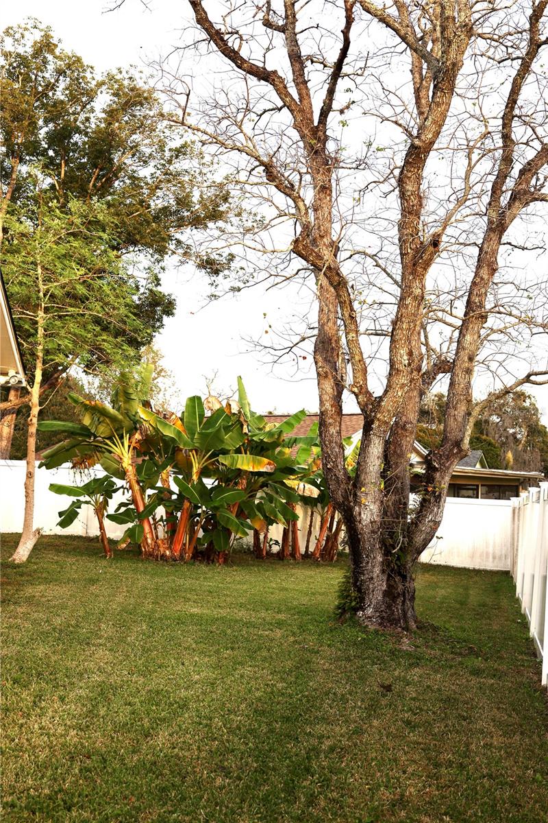 Image 29 of 31 For 1405 Goolagong Court