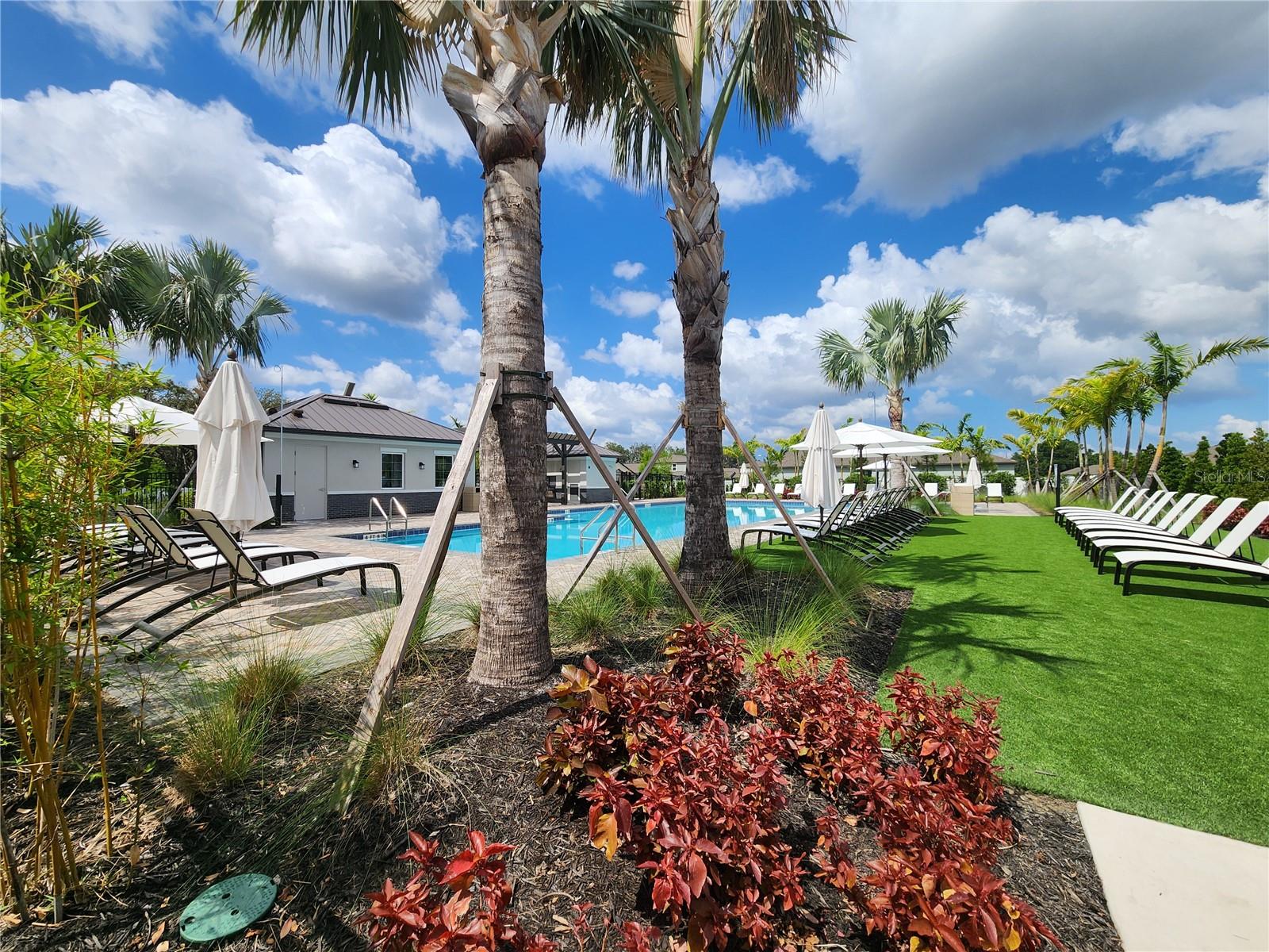 Image 25 of 26 For 10353 Scarlet Skimmer Drive