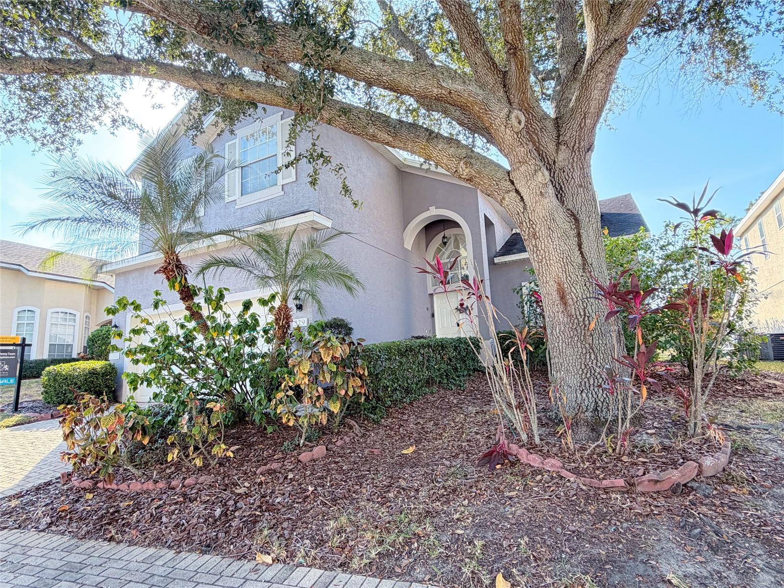 Image 4 of 77 For 329 Windsor Place